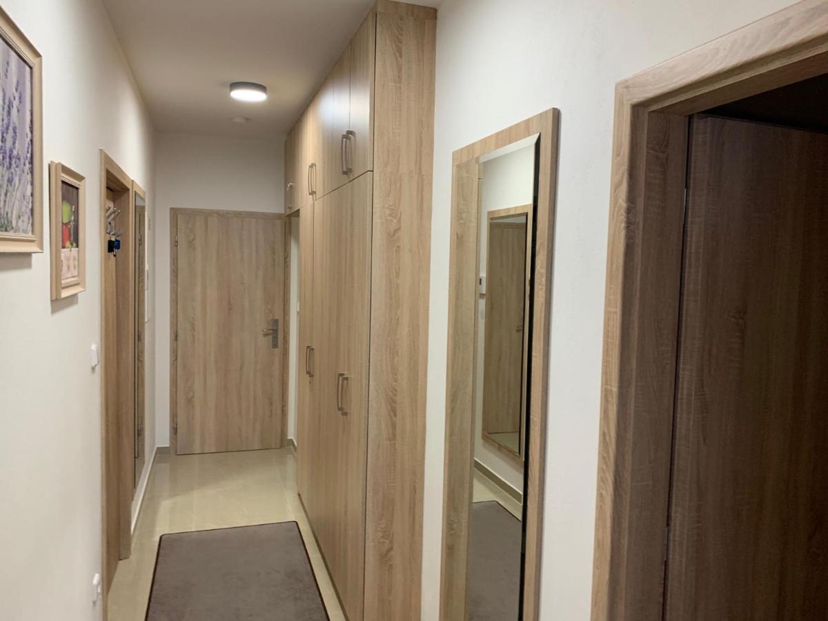 Apartment Rezidence - Javor & Wellness Železná Ruda 外观 照片