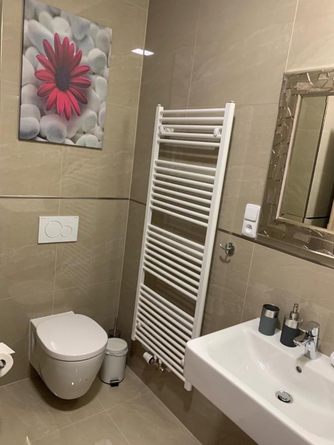 Apartment Rezidence - Javor & Wellness Železná Ruda 外观 照片