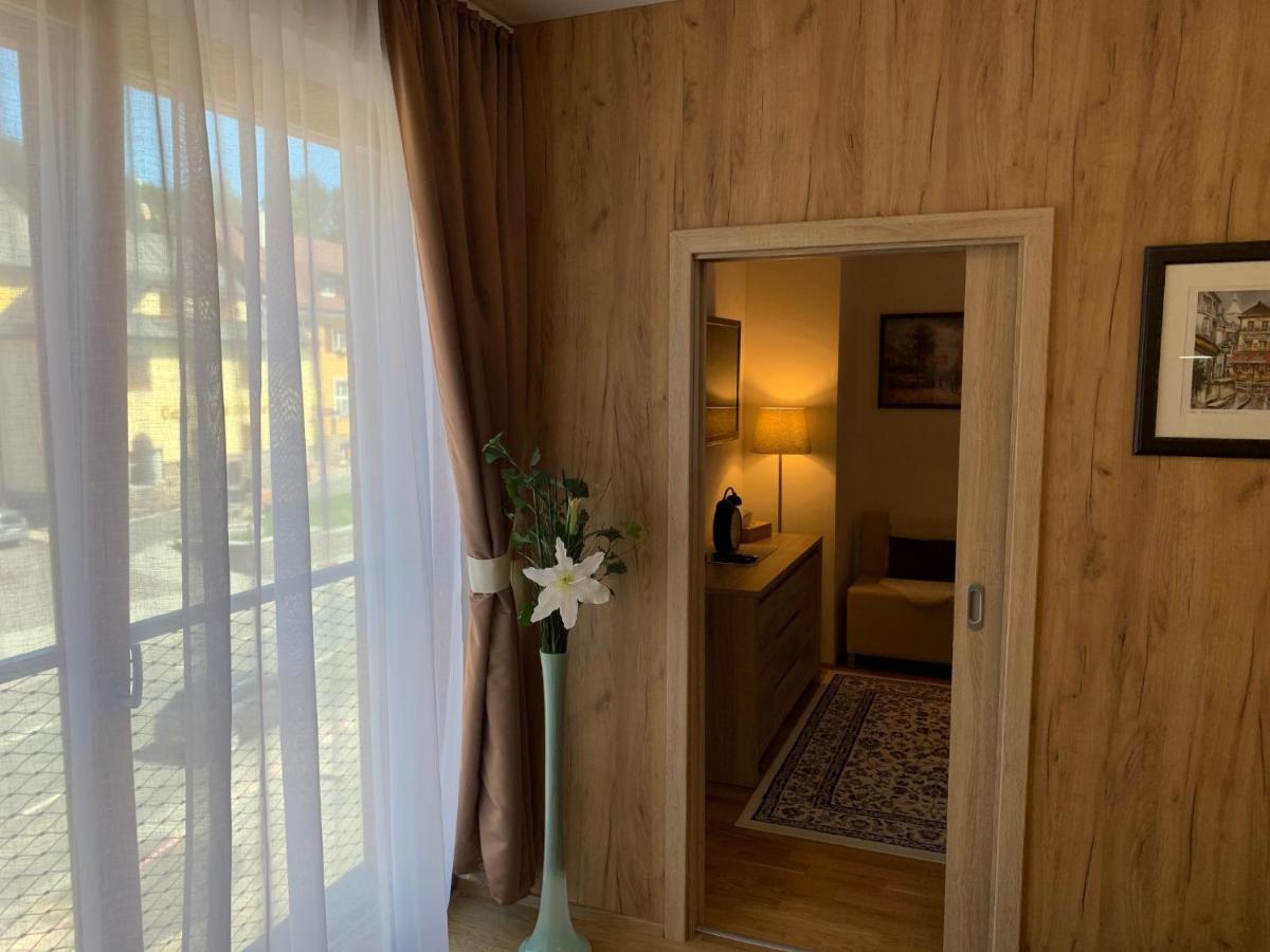 Apartment Rezidence - Javor & Wellness Železná Ruda 外观 照片