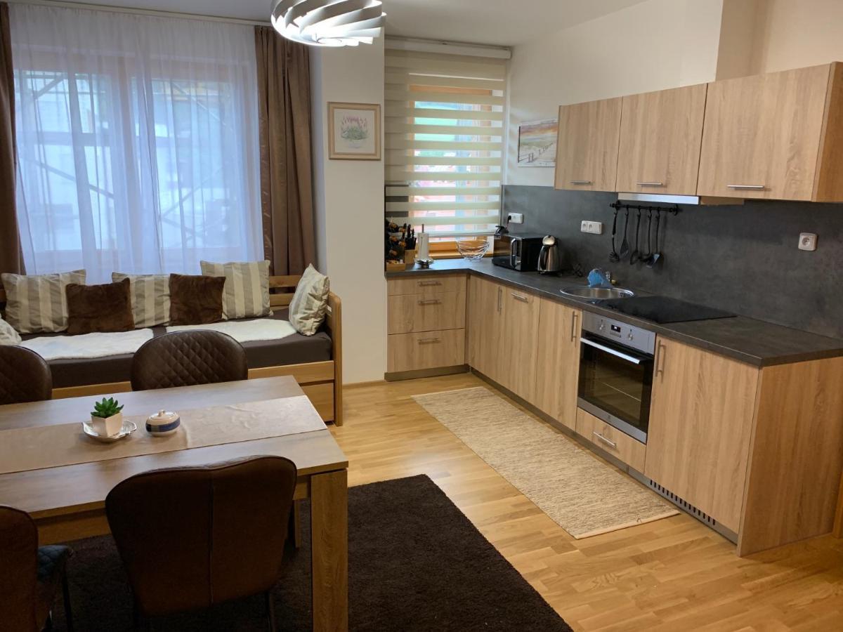 Apartment Rezidence - Javor & Wellness Železná Ruda 外观 照片